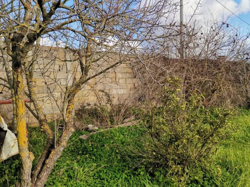Terreno a Oristano - Foto 3
