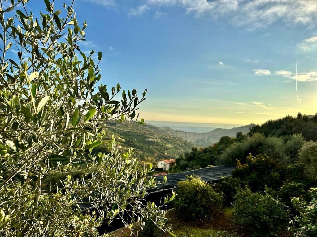 Villa a Vallebona - Foto 2