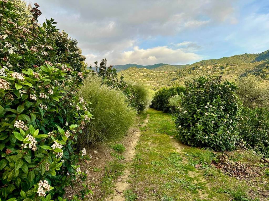 Villa a Vallebona - Foto 3
