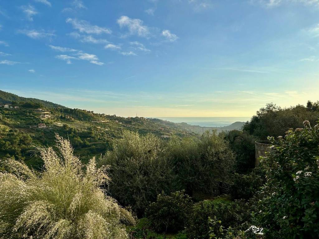 Villa a Vallebona - Foto 4