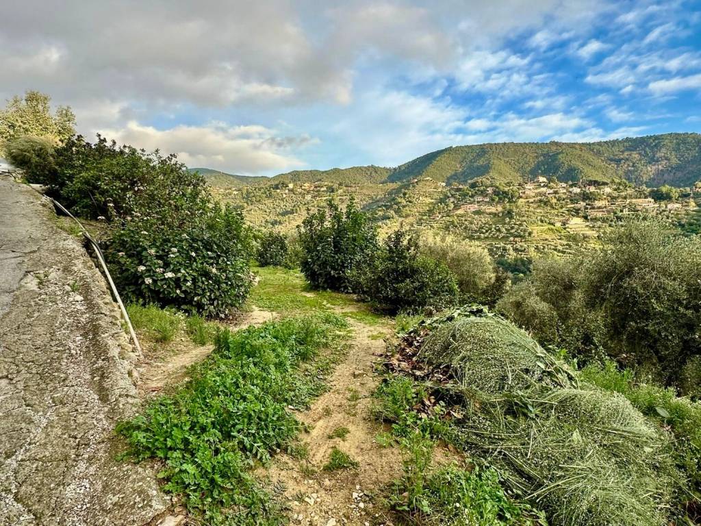 Villa a Vallebona - Foto 5