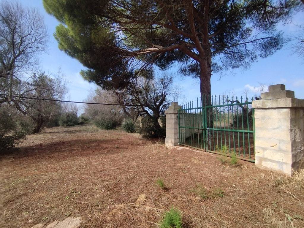 Terreno a Ugento in Provinciale Gemini- Torre Mozza , snc - Foto 2