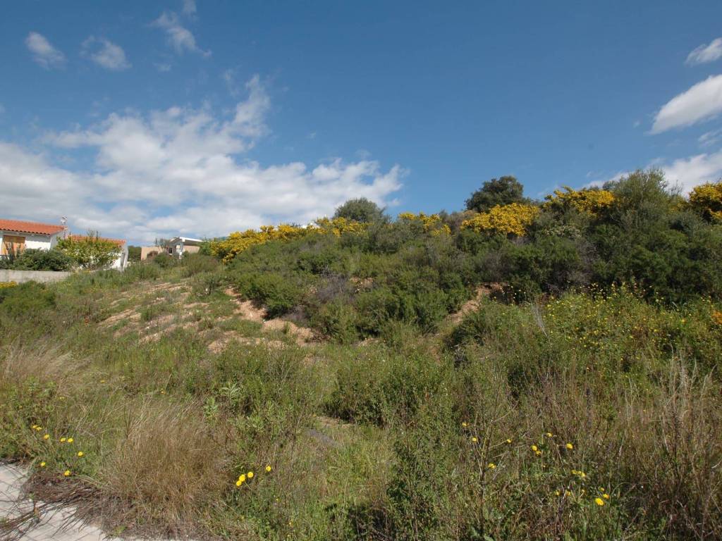 Terreno a Loiri porto san paolo in Via Silvio Pellico, 5 - Foto 5