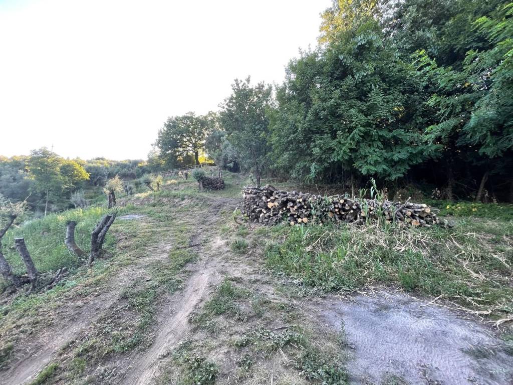 Terreno a Pistoia in Via Sarripoli e Brocchi di Paolone - Foto 2