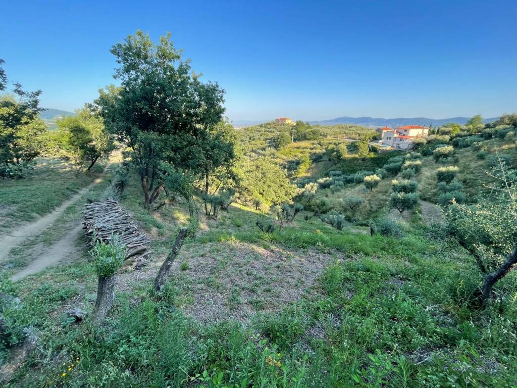 Terreno a Pistoia in Via Sarripoli e Brocchi di Paolone - Foto 3