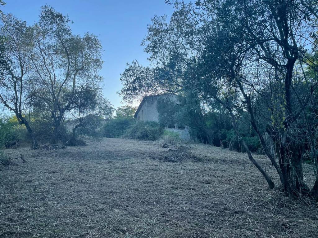 Terreno a Pistoia in Via Sarripoli e Brocchi di Paolone - Foto 4