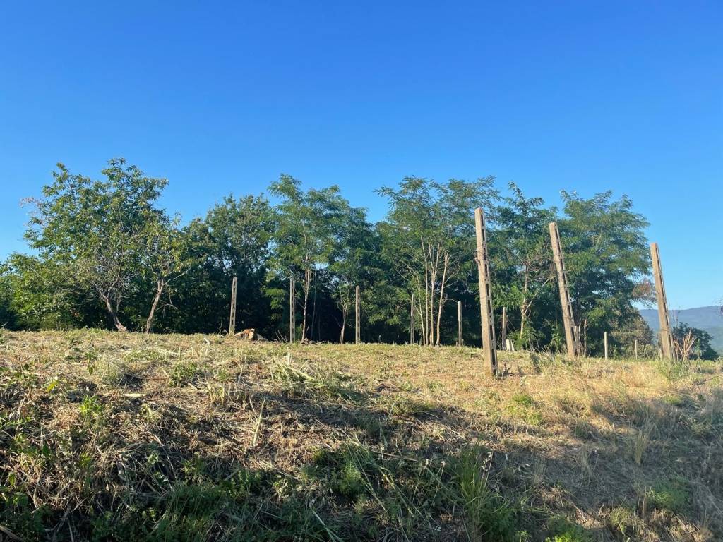 Terreno a Pistoia in Via Sarripoli e Brocchi di Paolone - Foto 5