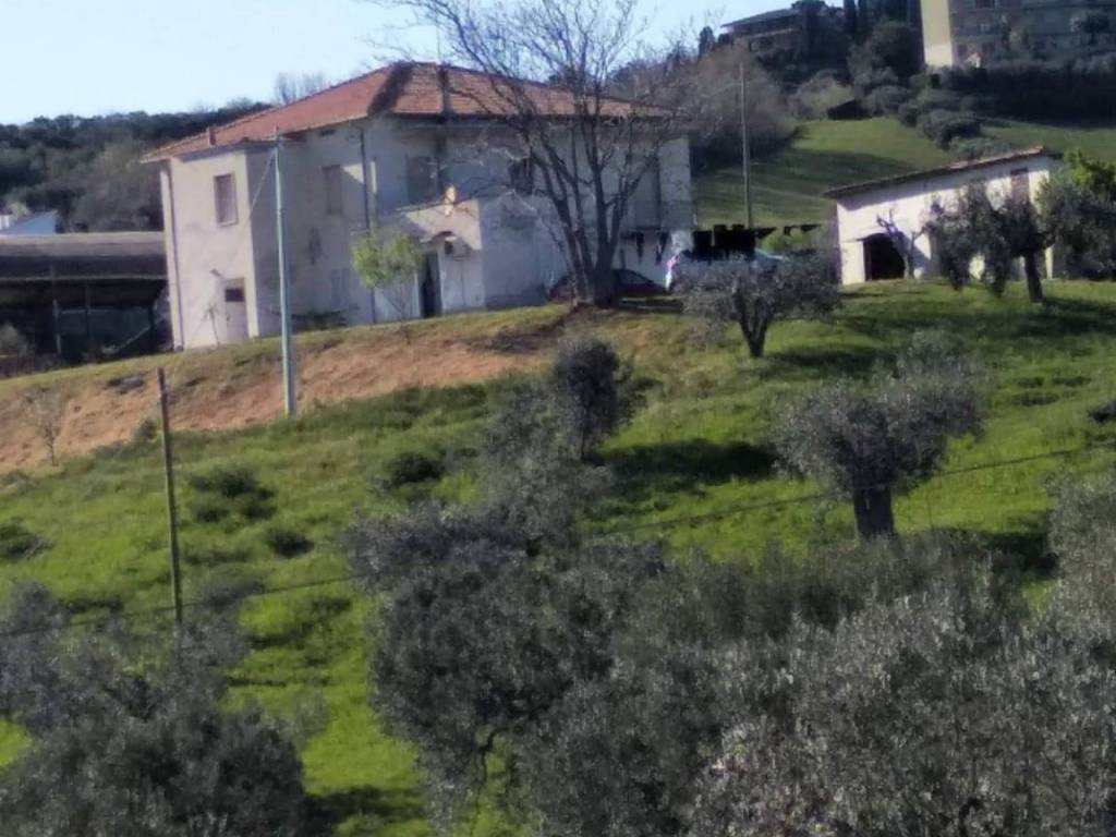 Rustico / casale a Tortoreto in Via Panoramica - Foto 5