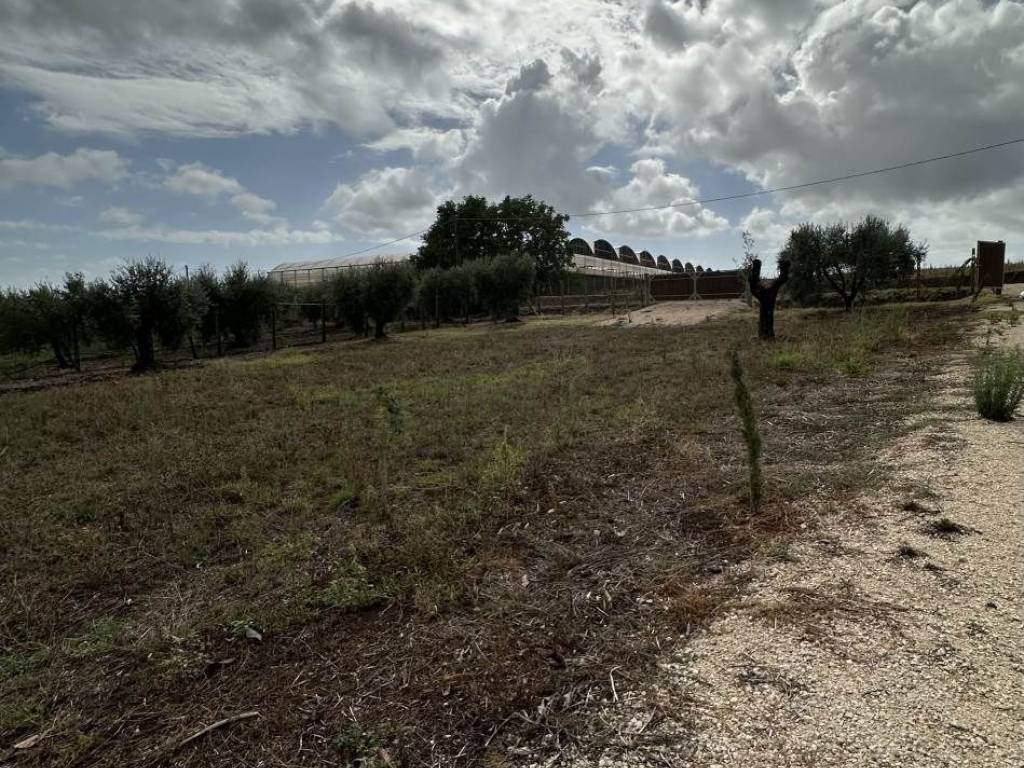 Terreno a Cisterna di latina in Via degli Aranci - Foto 4