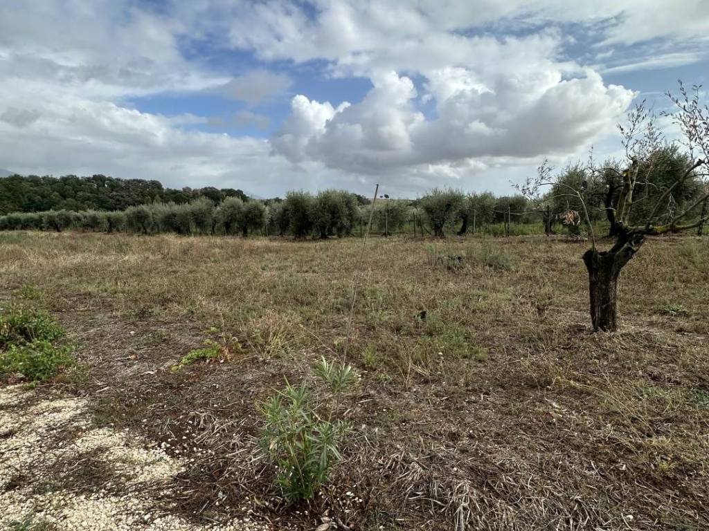 Terreno a Cisterna di latina in Via degli Aranci - Foto 5
