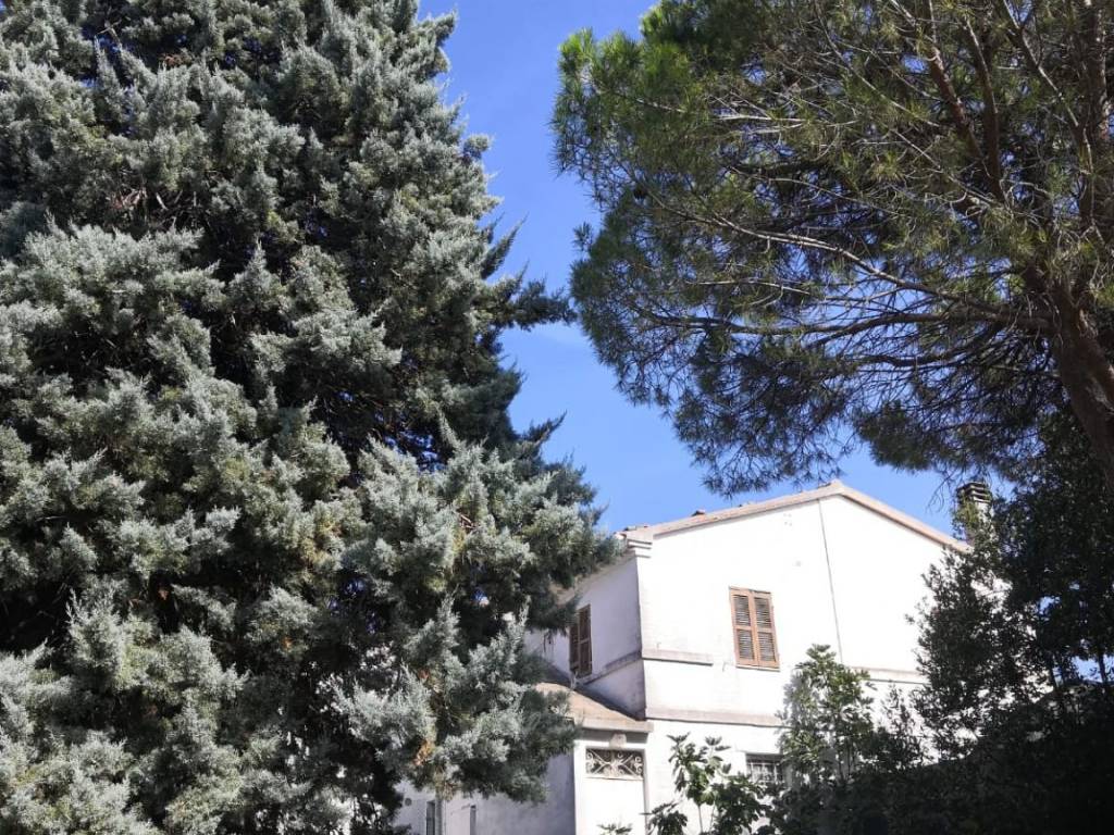 Casa indipendente a Jesi in Via San Marcello, 20 - Foto 2