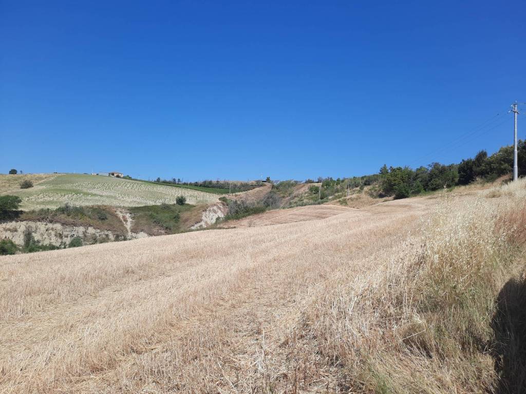 Terreno a Offida - Foto 5