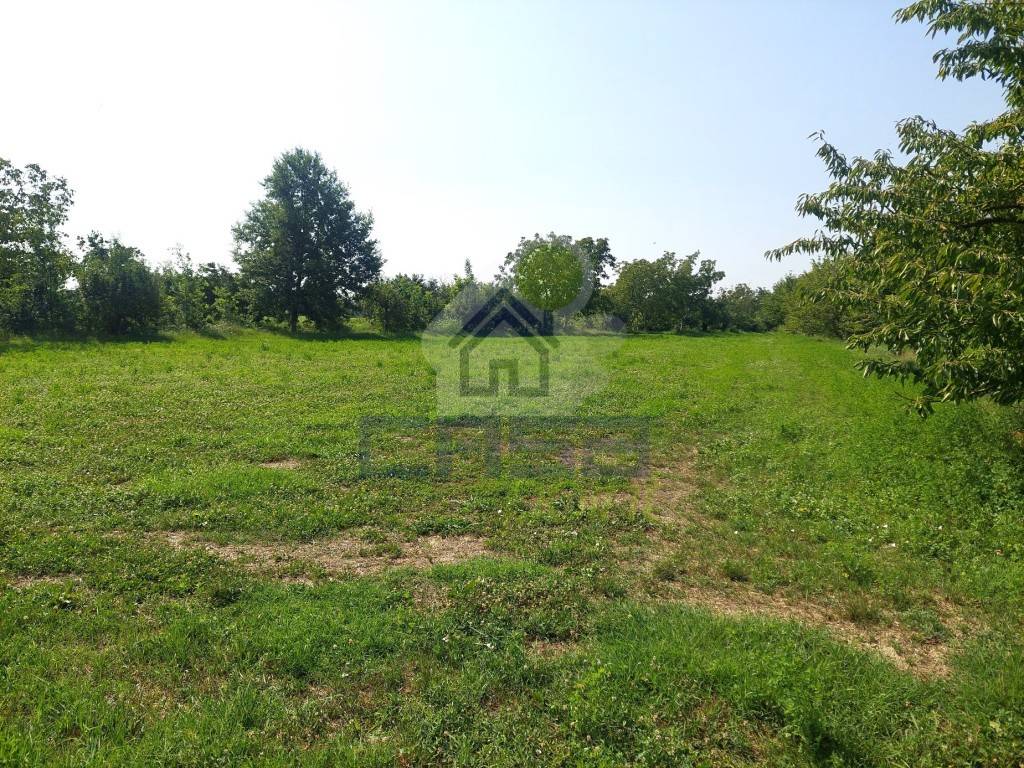 Terreno a Castelvetro piacentino in VIA UGO PELO' - Foto 3