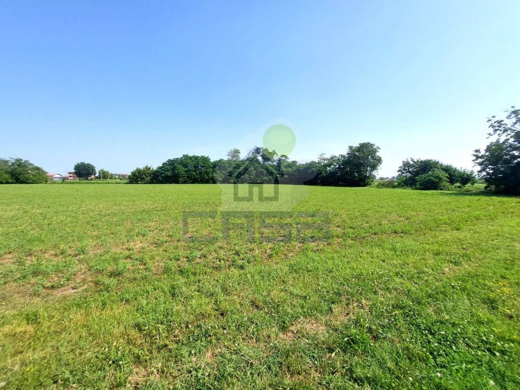 Terreno a Castelvetro piacentino in VIA UGO PELO' - Foto 4