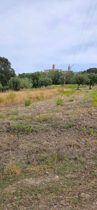 Terreno a Montecosaro in Località Castellano - Foto 5