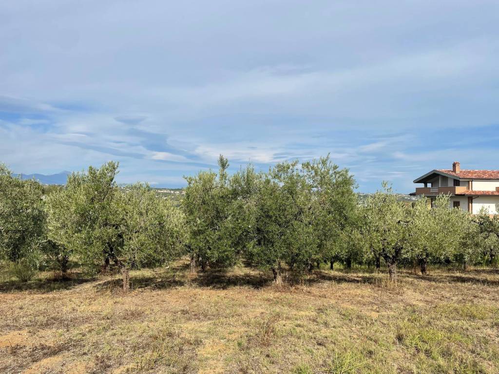 Terreno a Francavilla al mare in Contrada Castelvecchio - Foto 2
