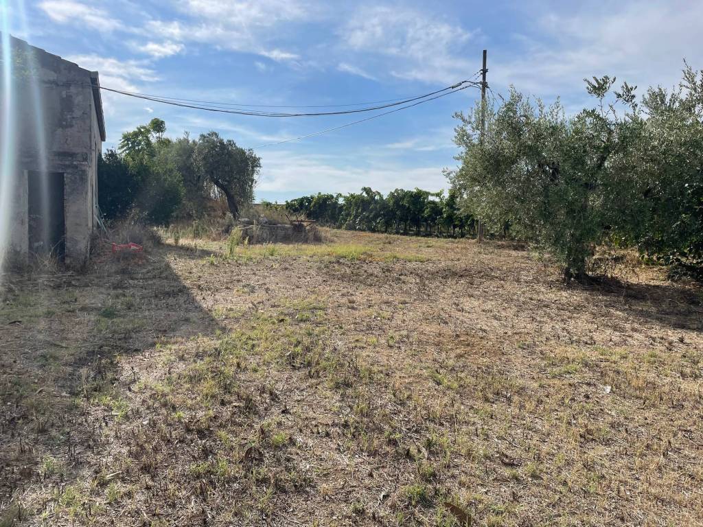 Terreno a Francavilla al mare in Contrada Castelvecchio - Foto 5