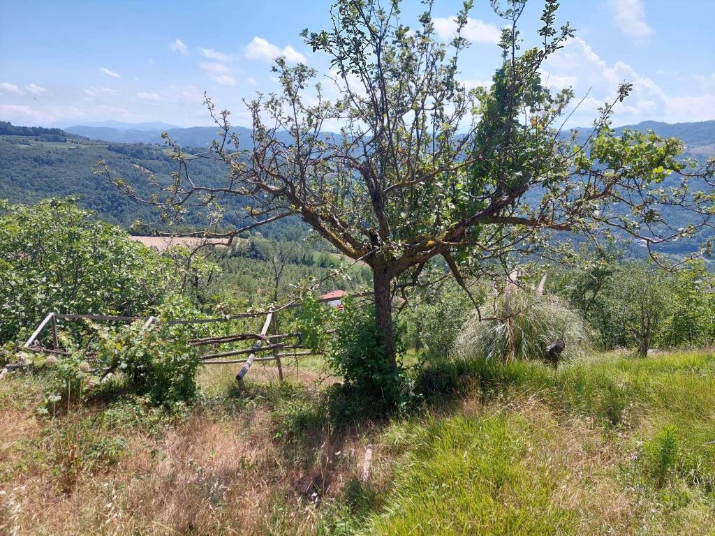 Rustico / casale a Prunetto - Foto 4