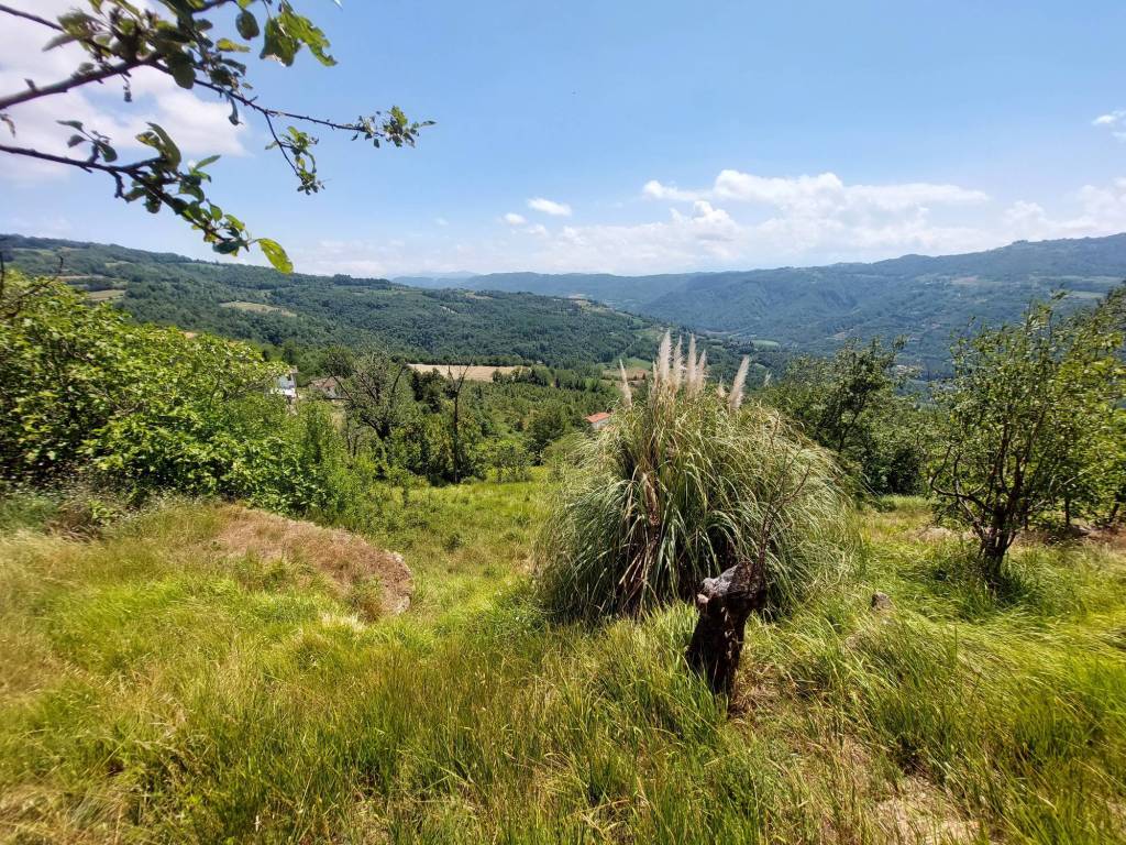 Rustico / casale a Prunetto - Foto 5