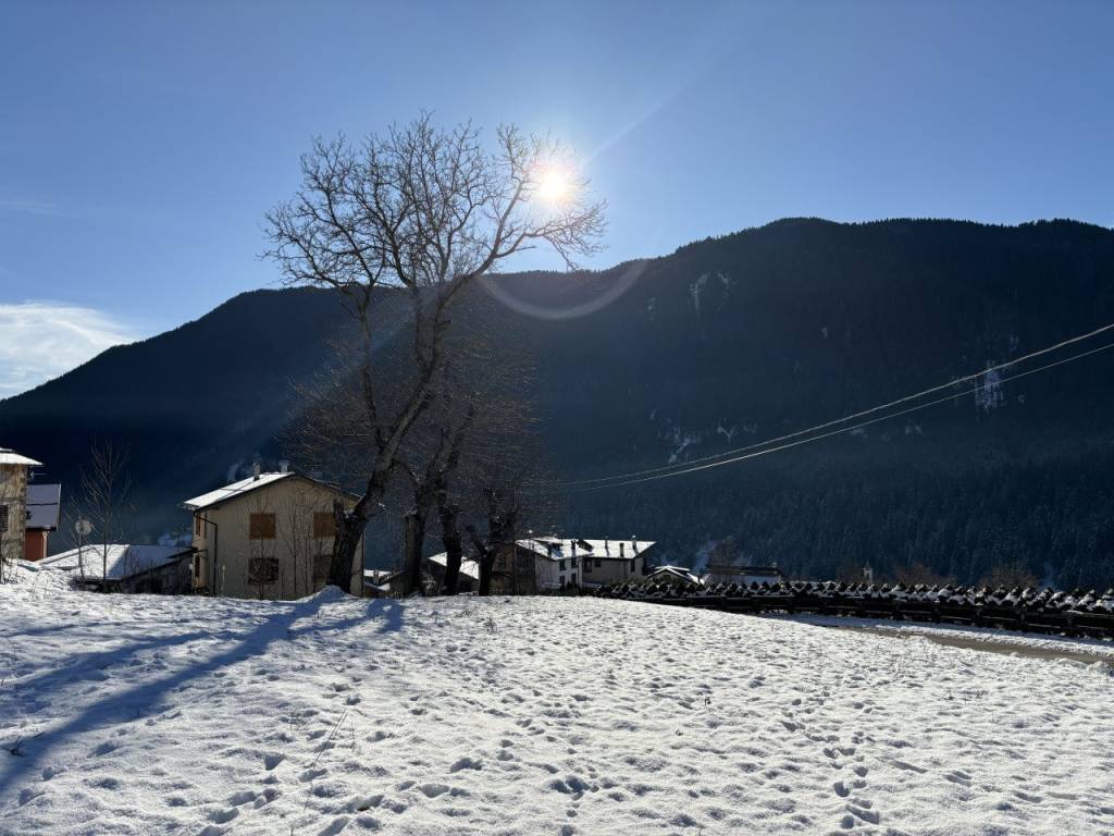 Terreno a Auronzo di cadore - Foto 4