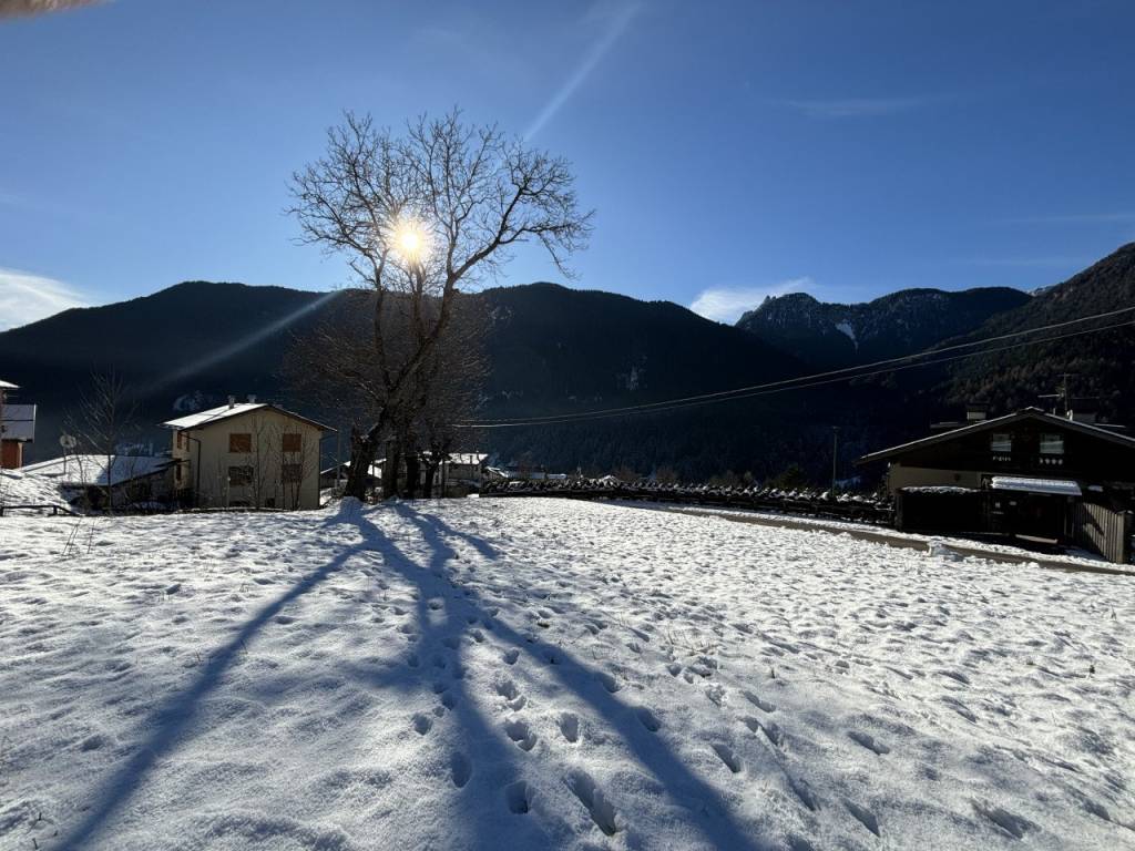 Terreno a Auronzo di cadore - Foto 5