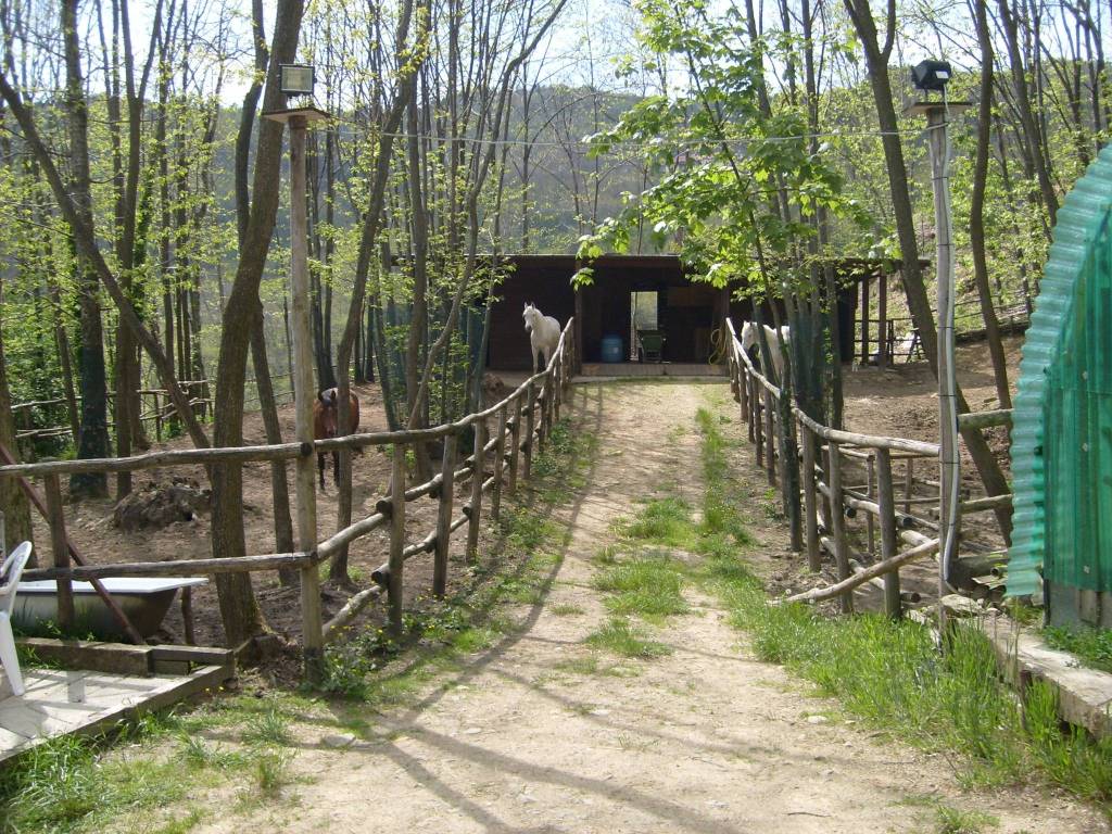 Terreno a Marliana - Foto 2
