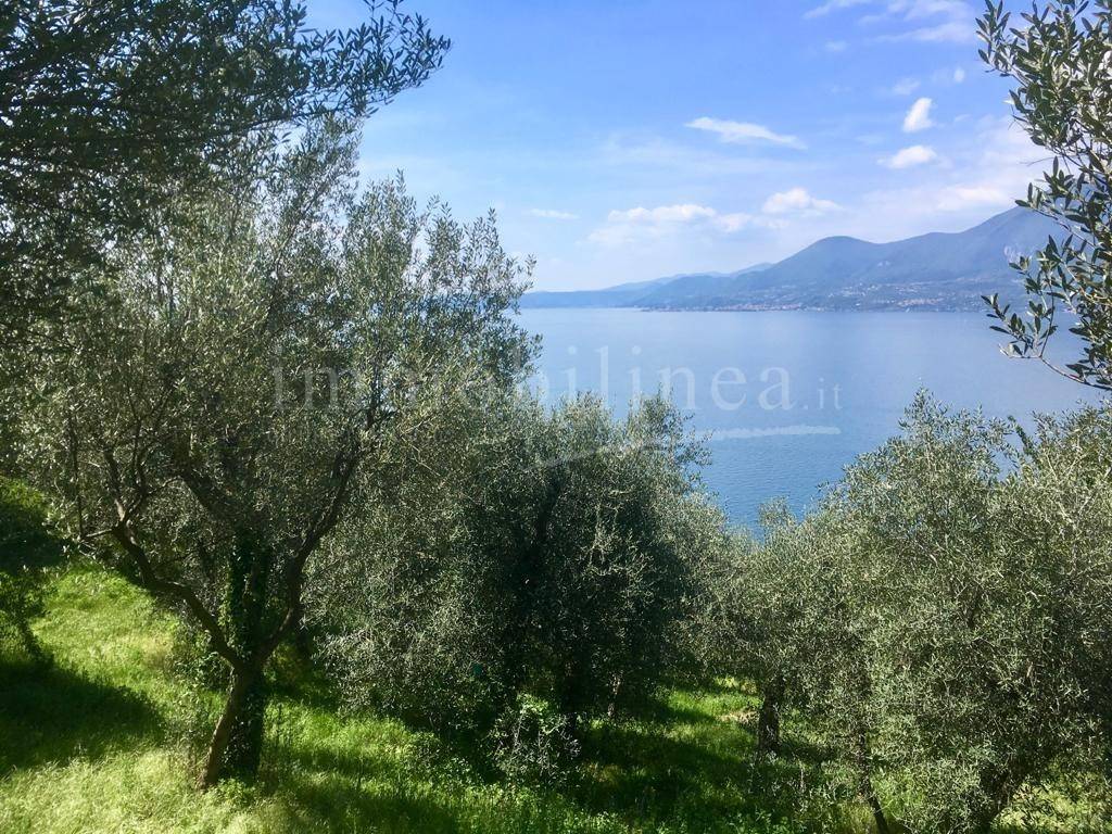 Terreno a Torri del benaco in torri del benaco - Foto 2