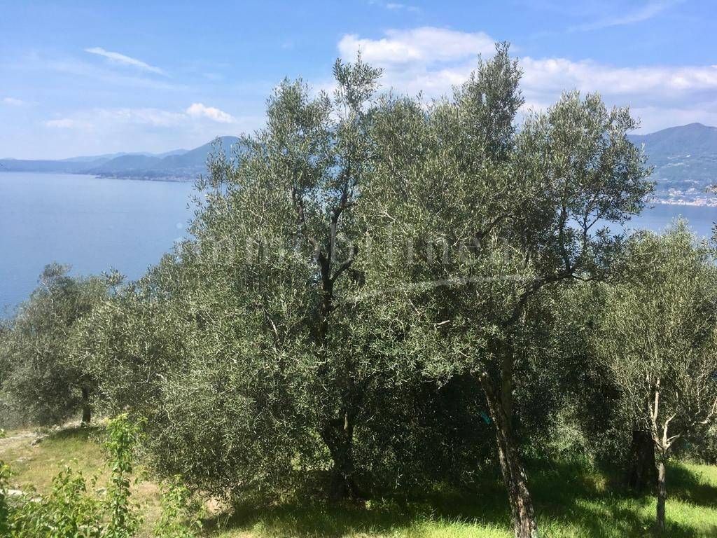 Terreno a Torri del benaco in torri del benaco - Foto 3