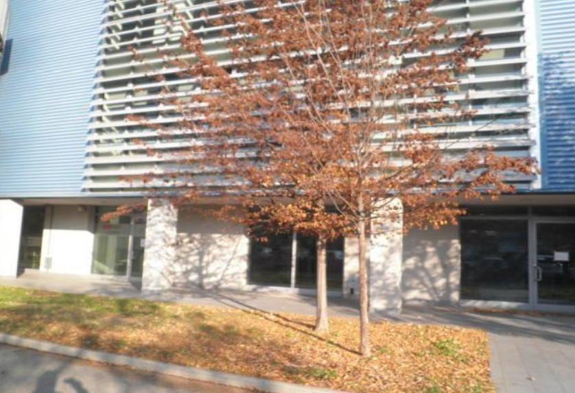 Immobile a Cremona in Via Rosario 5 - Foto 4