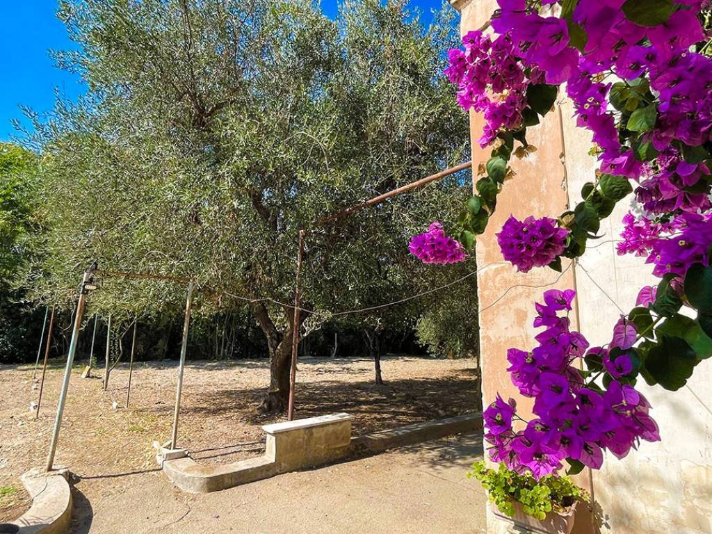 Villa a Trani - Foto 5