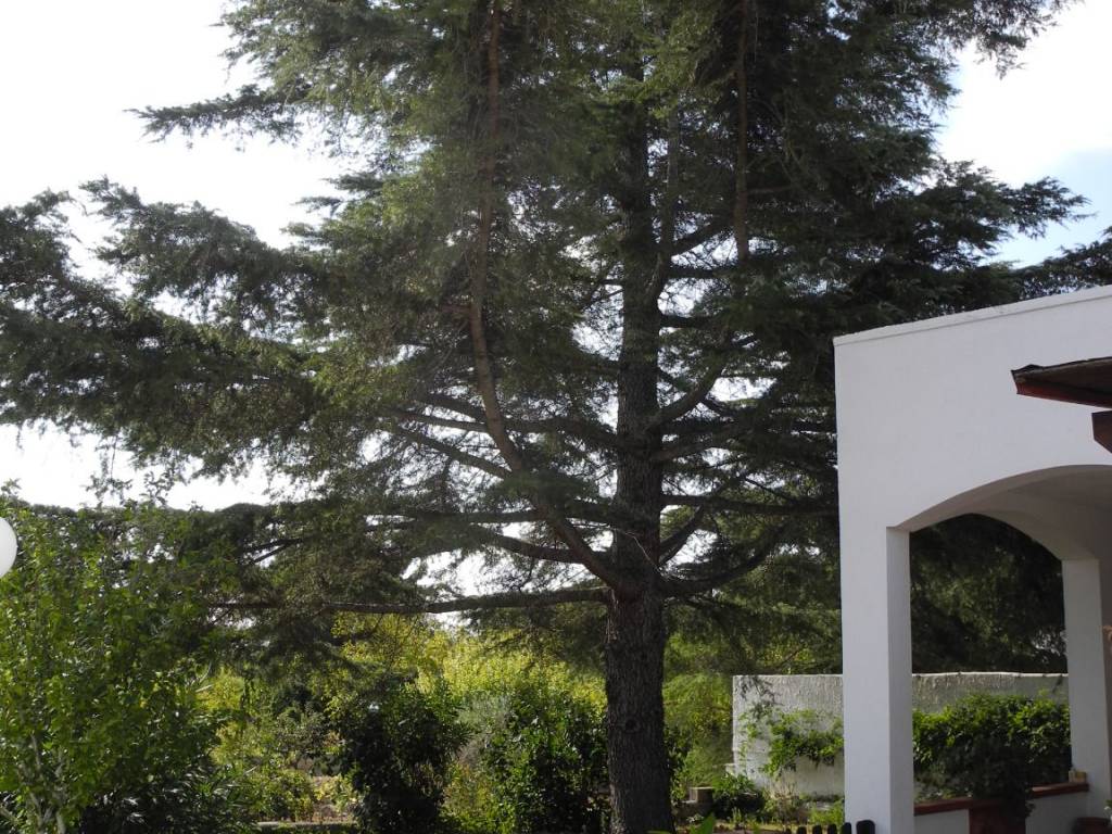 Villa a Martina franca in Strada Cupina, 27 - Foto 5