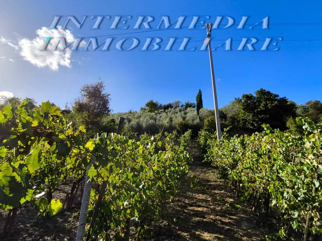 Terreno a San giovanni valdarno in Via Borro della Madonna - Foto 2
