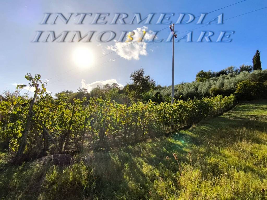 Terreno a San giovanni valdarno in Via Borro della Madonna - Foto 3