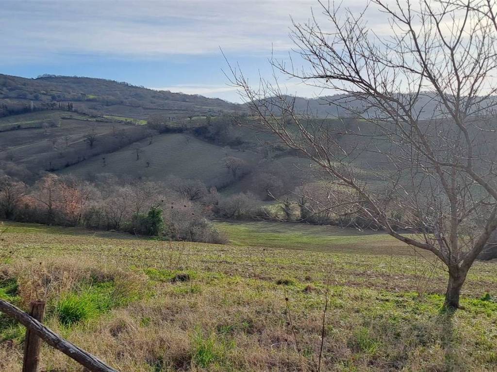 Appartamento a Manciano - Foto 4