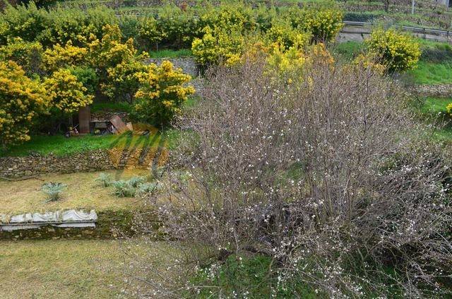 Terreno a Soldano in Cian - Foto 2