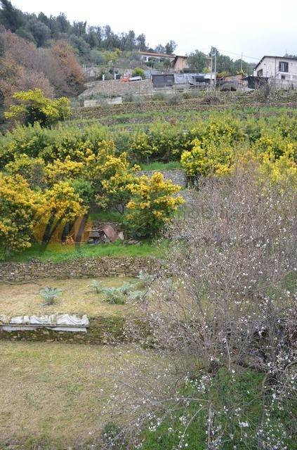 Terreno a Soldano in Cian - Foto 3