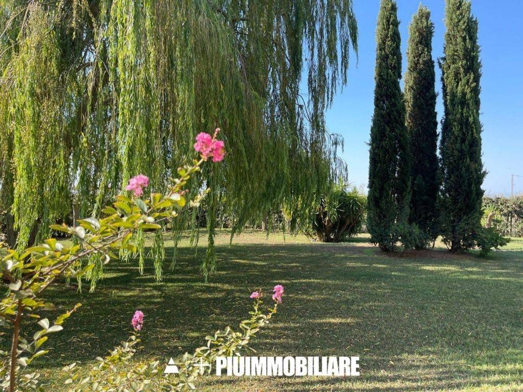 Villa a Bernalda - Foto 4
