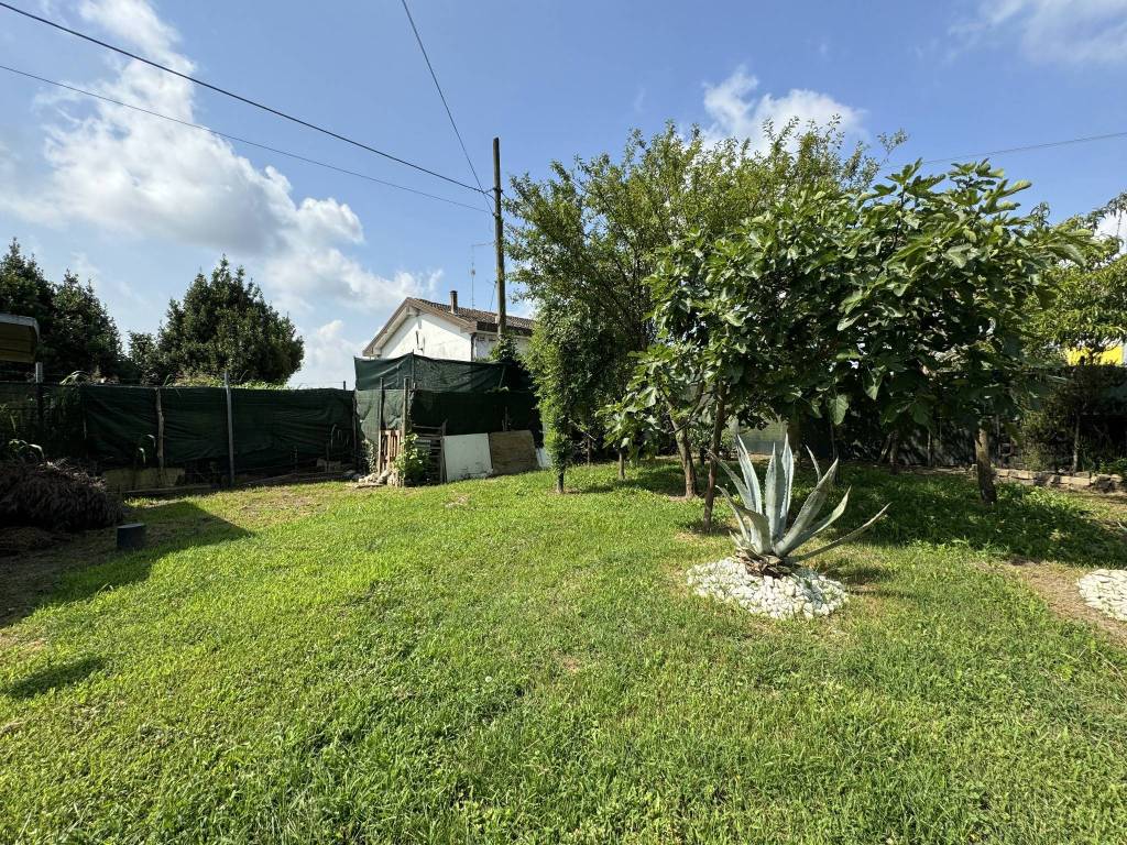Villa a Loreo in Via Roma - Foto 2