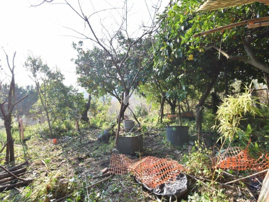 Rustico / casale a Sant'agata de' goti in C/da Lamia, 10 - Foto 2
