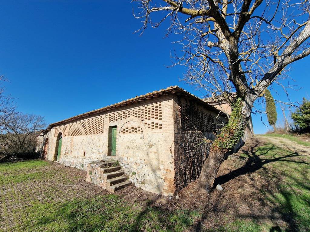 Rustico / casale a Castelnuovo berardenga in Vicolo Antica Strada - Foto 3