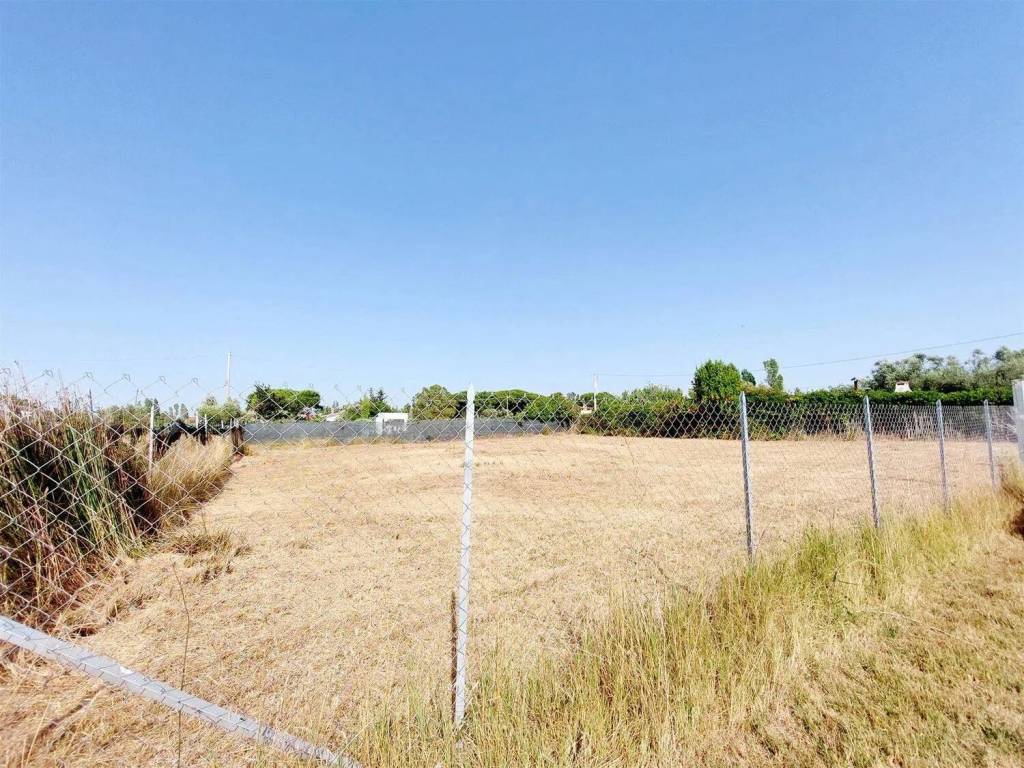 Terreno a Tarquinia in Via Litoranea Sud S.N.C. Snc - Foto 3