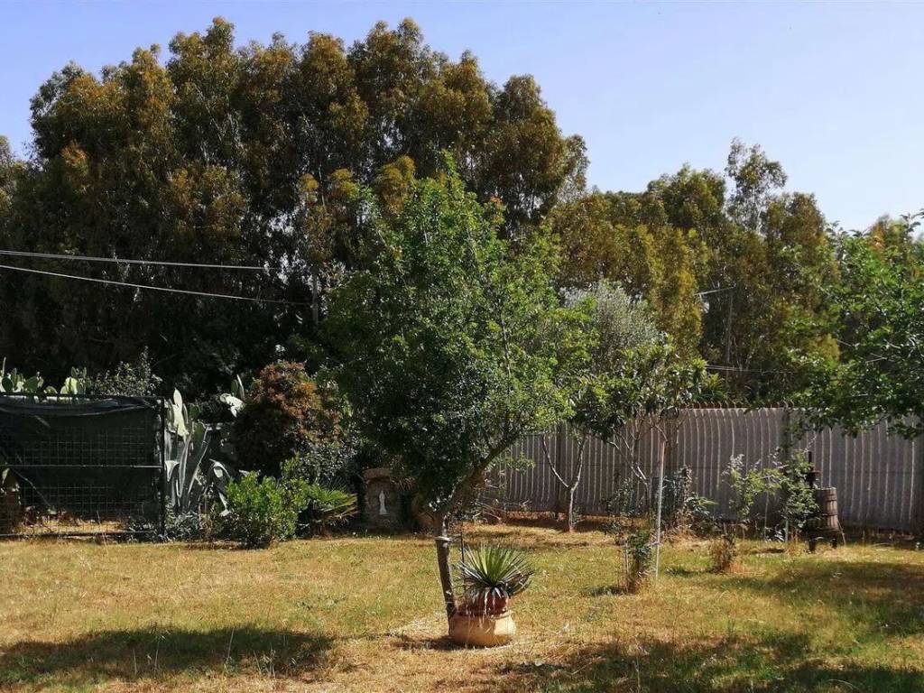 Terreno a Tarquinia - Foto 3