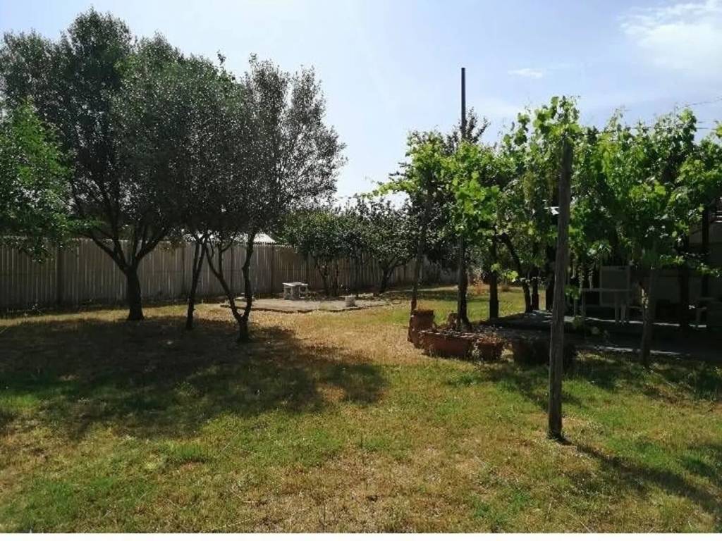 Terreno a Tarquinia - Foto 4