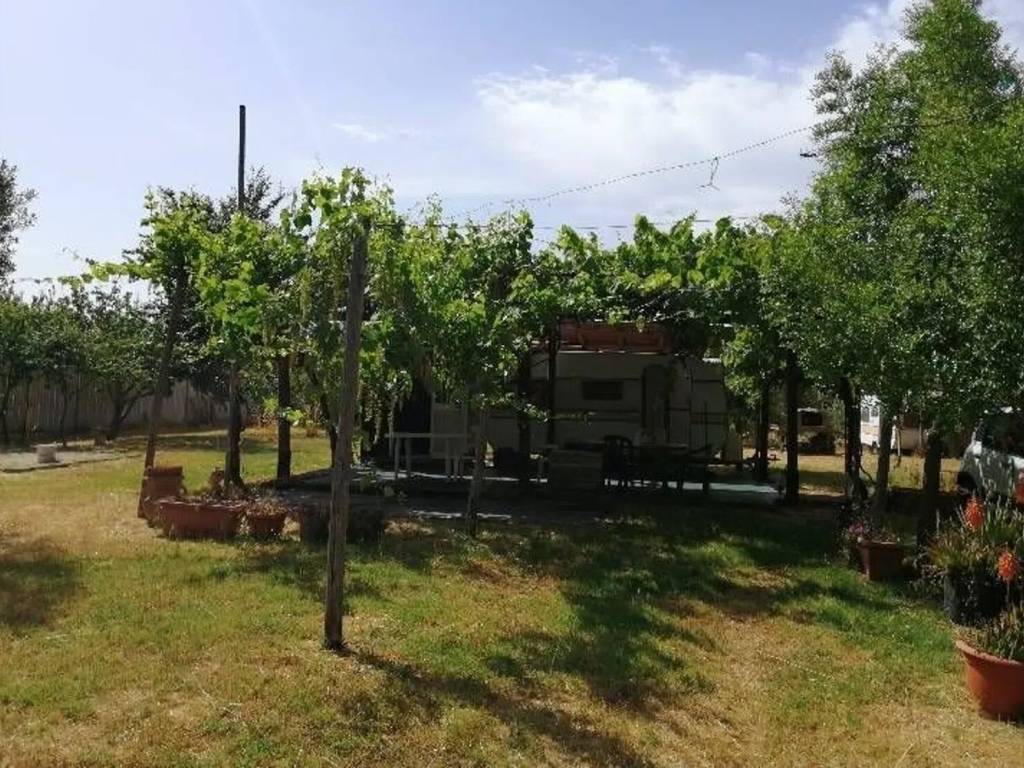 Terreno a Tarquinia - Foto 5