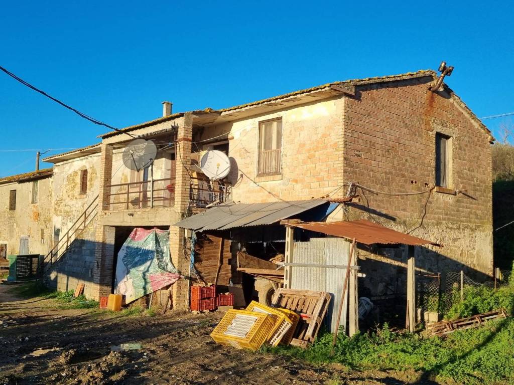 Rustico / casale a Torgiano - Foto 2