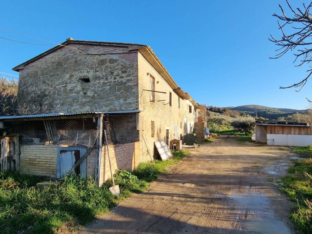 Rustico / casale a Torgiano - Foto 5