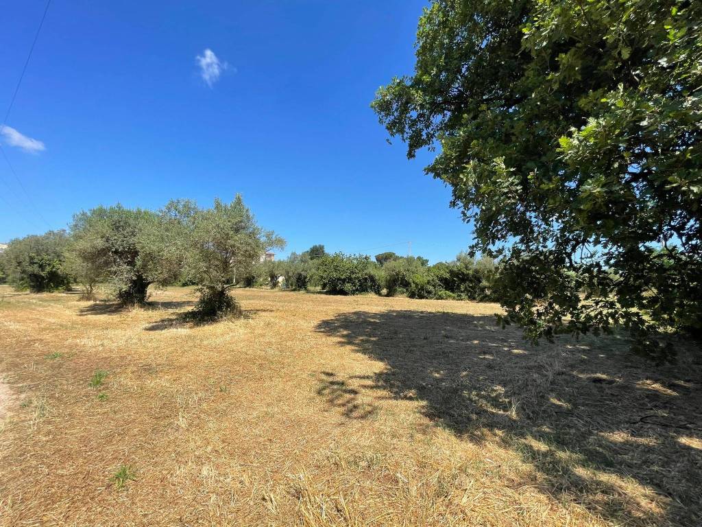 Terreno a Cisterna di latina in Via Guglielmo Marconi - Foto 2