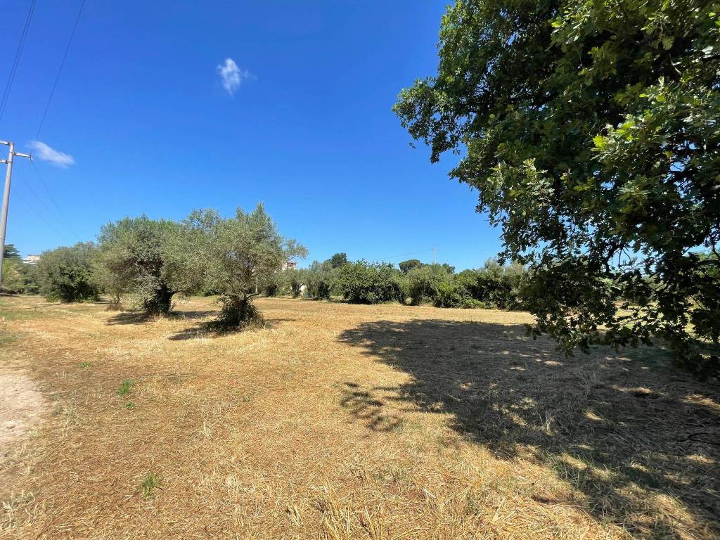 Terreno a Cisterna di latina in Via Guglielmo Marconi - Foto 3