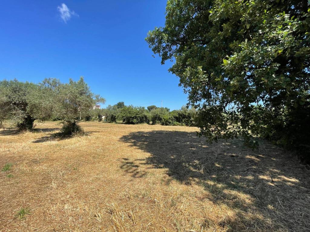 Terreno a Cisterna di latina in Via Guglielmo Marconi - Foto 4