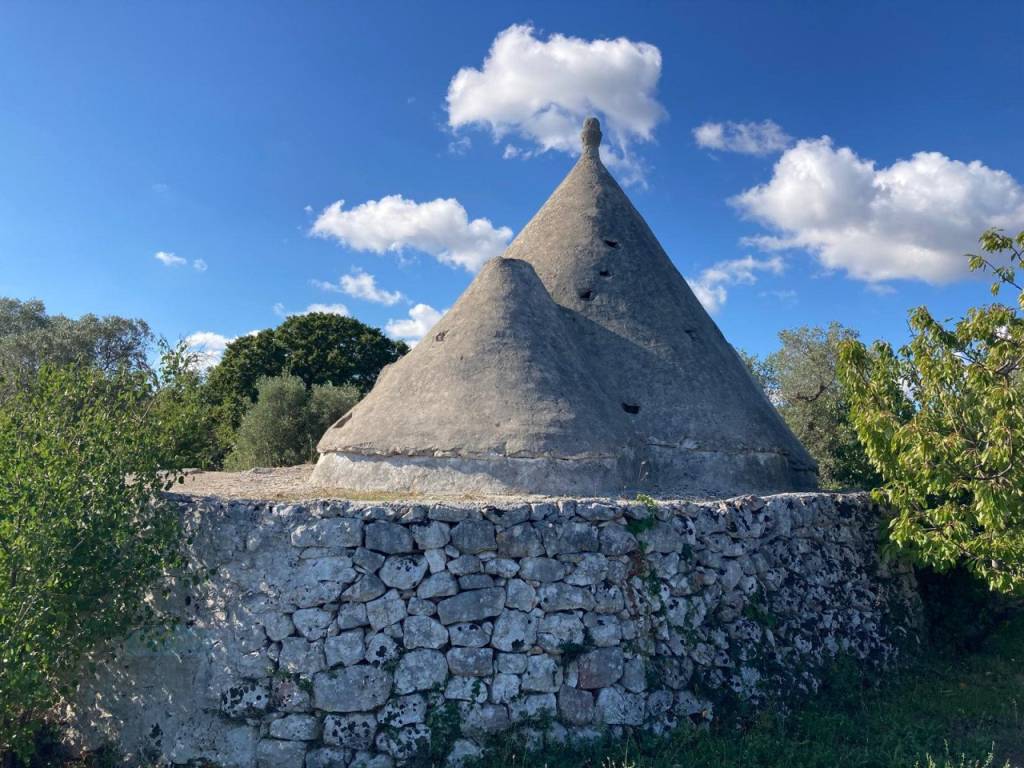 Attico / mansarda a Ceglie messapica in Contrada Spasimato - Foto 3